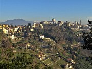 19 Da via Borgo Canale bella vista su Citta Alta